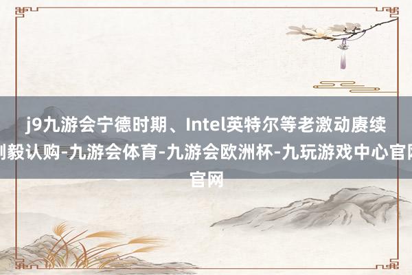 j9九游会宁德时期、Intel英特尔等老激动赓续刚毅认购-九游会体育-九游会欧洲杯-九玩游戏中心官网