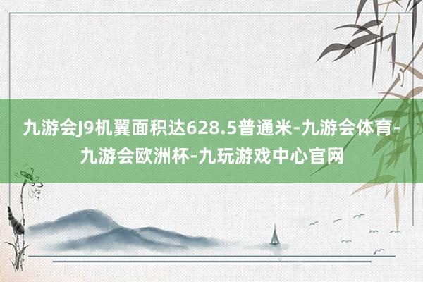 九游会J9机翼面积达628.5普通米-九游会体育-九游会欧洲杯-九玩游戏中心官网