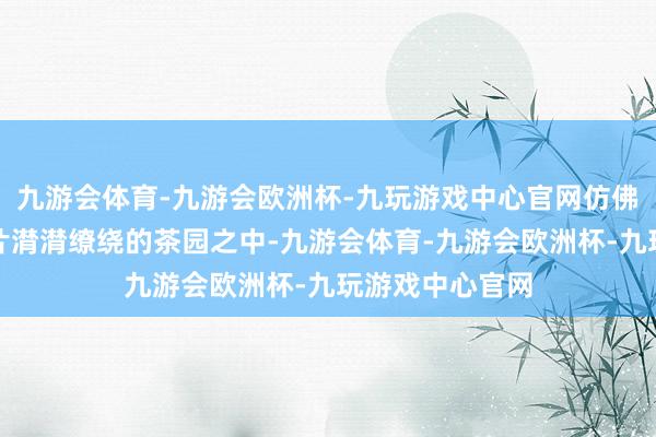 九游会体育-九游会欧洲杯-九玩游戏中心官网仿佛踏进于英德那片潸潸缭绕的茶园之中-九游会体育-九游会欧洲杯-九玩游戏中心官网