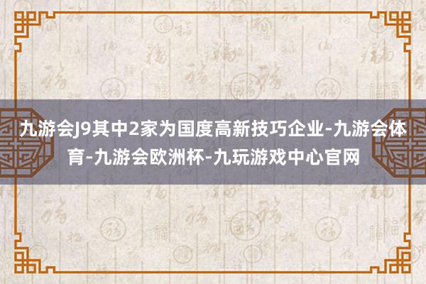 九游会J9其中2家为国度高新技巧企业-九游会体育-九游会欧洲杯-九玩游戏中心官网