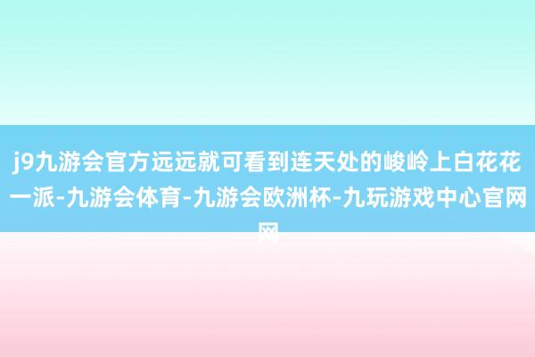 j9九游会官方远远就可看到连天处的峻岭上白花花一派-九游会体育-九游会欧洲杯-九玩游戏中心官网